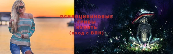 Альфа ПВП Вязьма