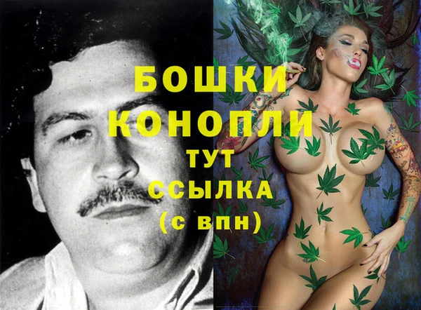 Альфа ПВП Вязьма