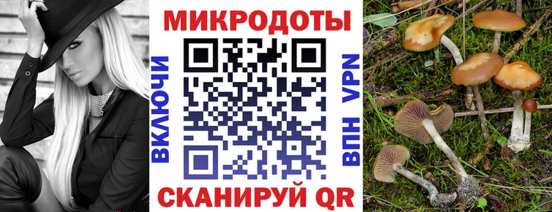 ссылка на мегу ссылка  наркотики  сайты даркнета официальный сайт  Псилоцибиновые грибы Magic Shrooms  Ивдель 