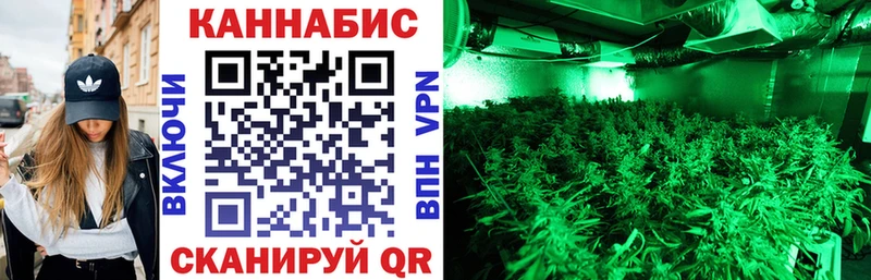 Бошки Шишки White Widow  Ивдель 